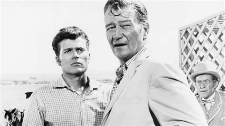 Is John Wayne's son in McLintock?