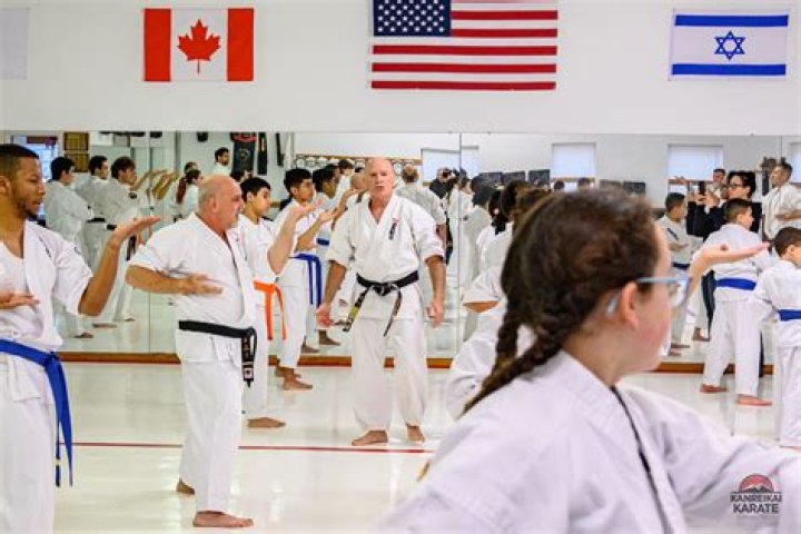 Is karate good for behavior problems?