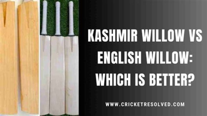 Is Kashmir willow better or English willow?
