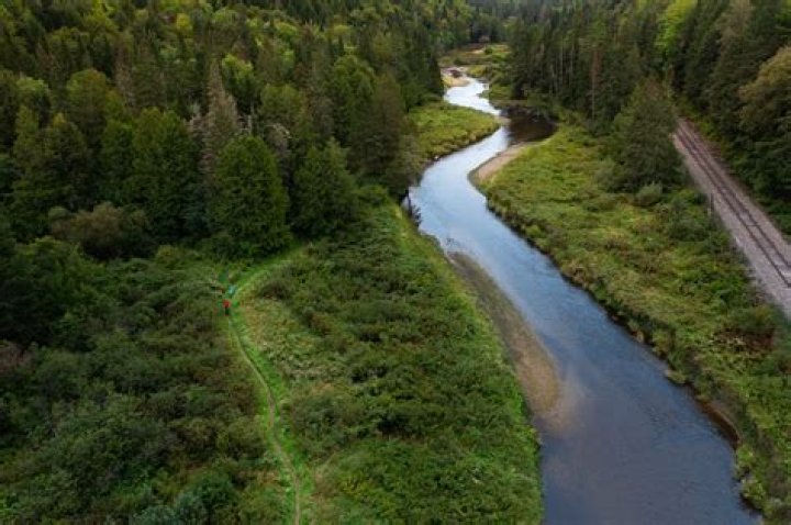 Is Mad River Glen good for beginners?