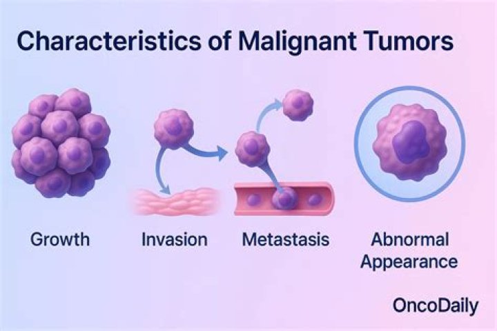 Is malignancy always cancer?