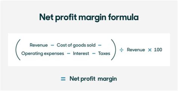 Is margin the amount you borrow?