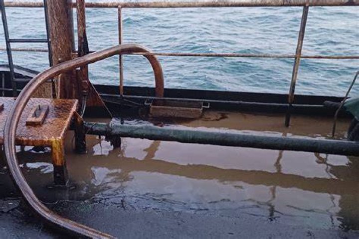 Is Marine oil necessary?