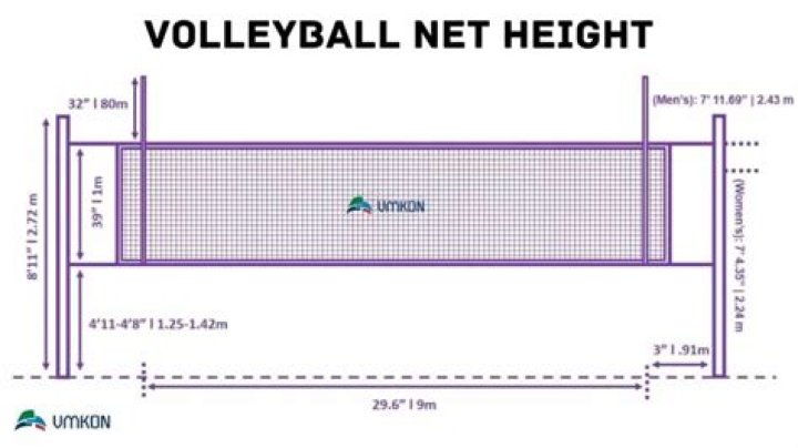 Is men's volleyball net higher than women's?