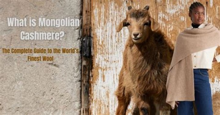 Is Mongolian cashmere itchy?