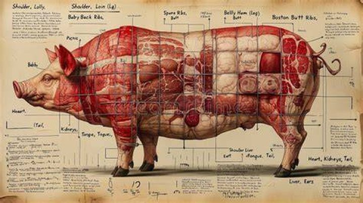 Is pig a pork?