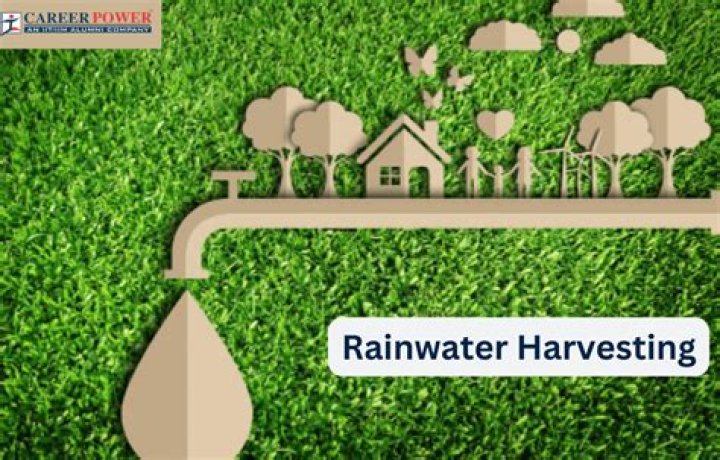 Is rainwater better for grass?