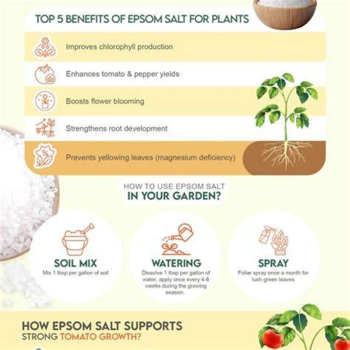 Is salt good for plants?
