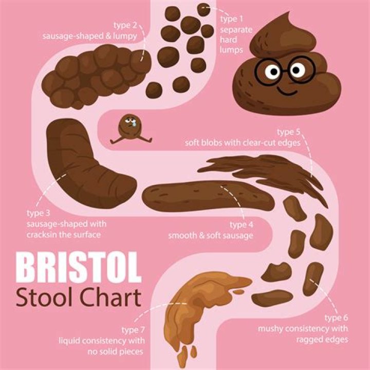 Is stool the same as poop?