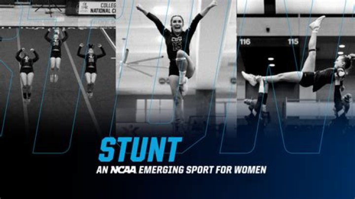 Is Stunt an NCAA sport?