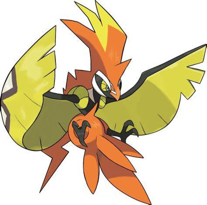 Is Tapu Koko a bird?