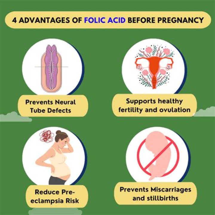 Is too much folic acid harmful during pregnancy?