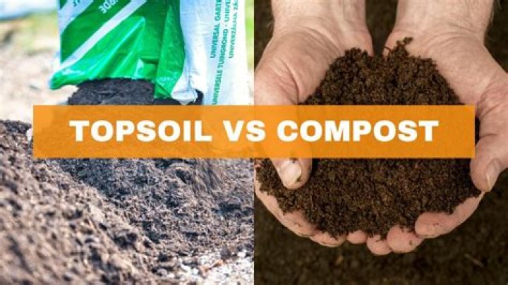 Is topsoil or compost better for grass seed?