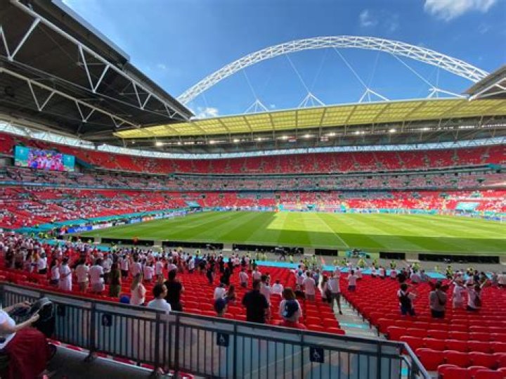 Is Wembley grass real?