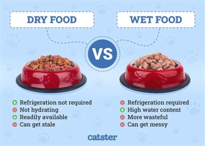 Is wet or dry food better for dogs with IBD?