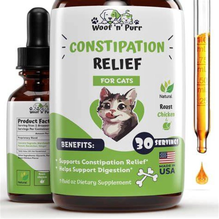 Is yogurt good for cat constipation?