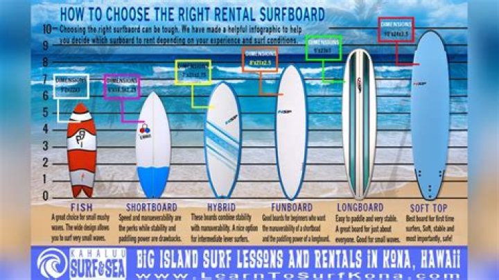 Should I longboard or shortboard?
