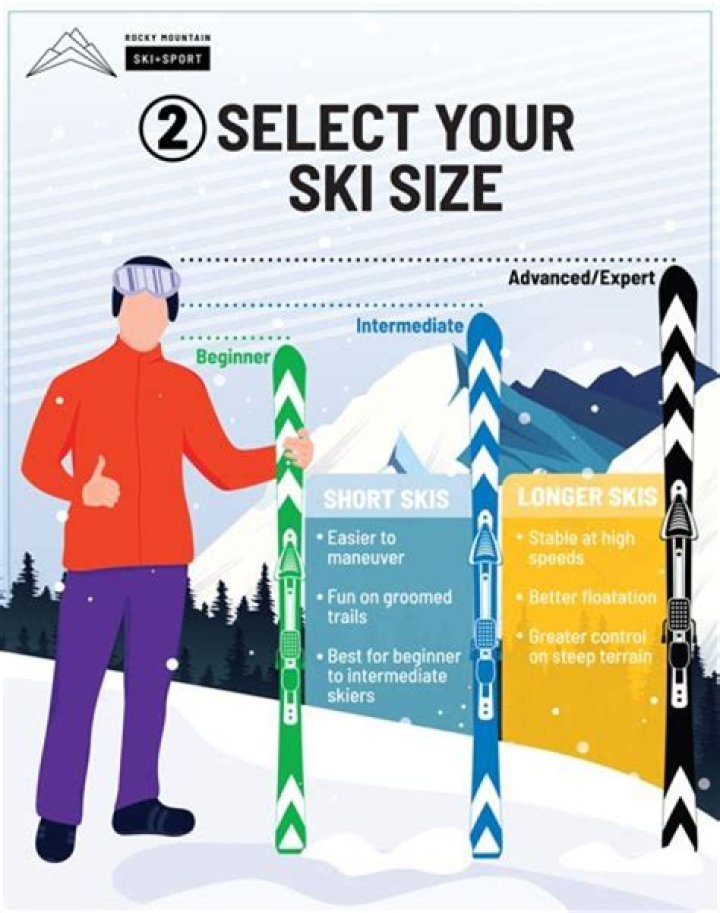 Should Park skis be taller than you?