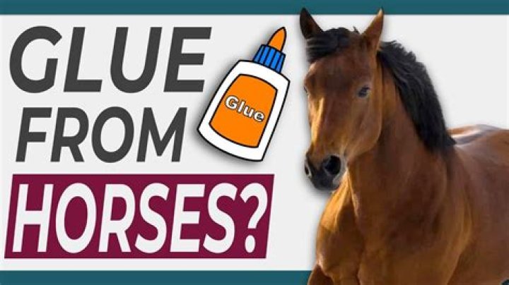 Should you give the horse to Adonis?