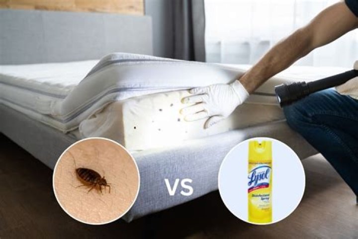 Should you spray Lysol on your bed?