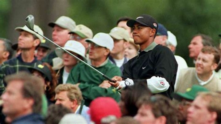 Was Tiger Woods a long hitter?