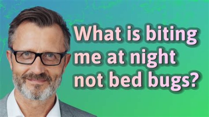 What's biting me at night in my bed?
