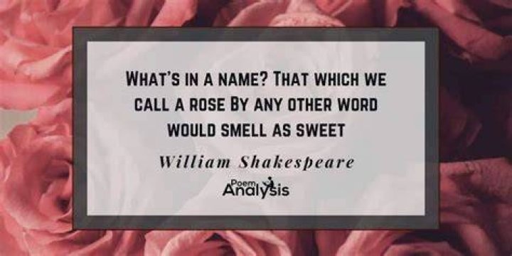 What's in a name a rose would smell as sweet?