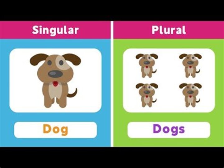 What's the plural of dog?