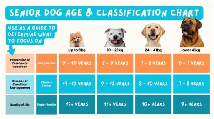 What age is a super senior in golf?