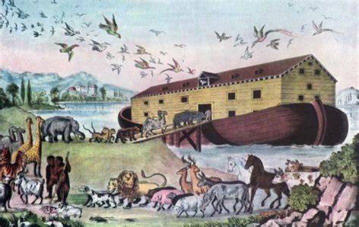What animal did Noah not take on the ark?