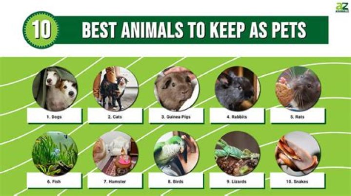 What animals Cannot be pets?