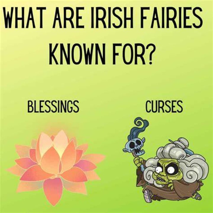 What are Irish fairies?