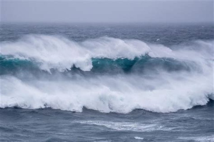 What are king waves?