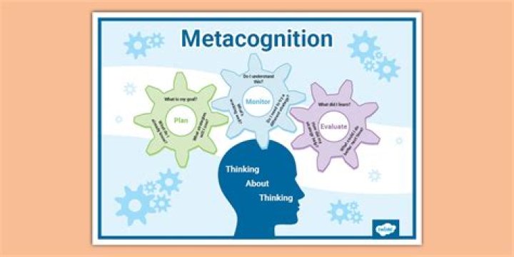 What are metacognitive activities?