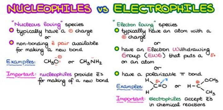 What are nucleophiles and electrophiles?