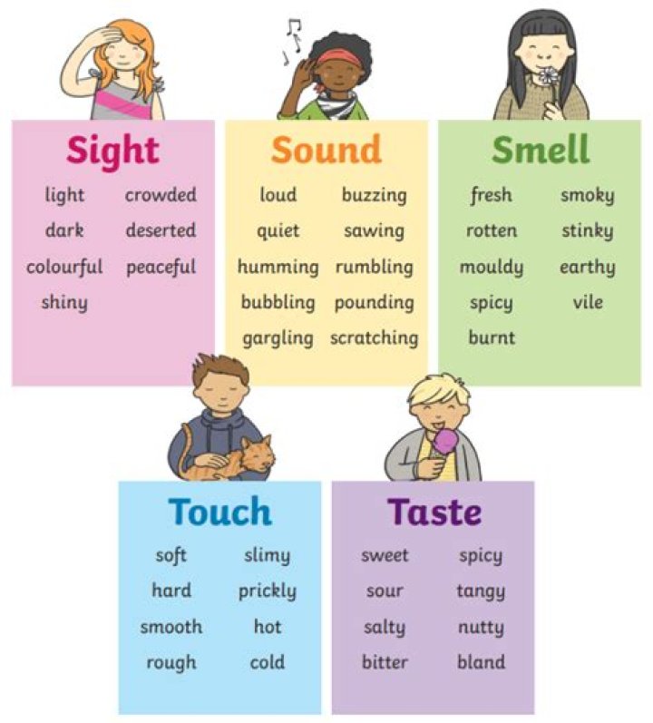 What are some examples of sensory language?
