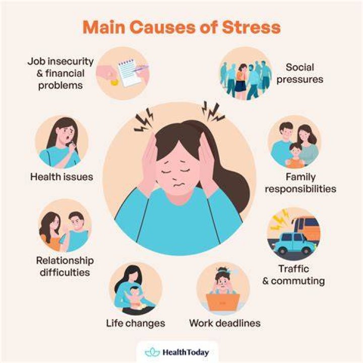 What are stressors in sport?