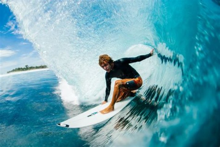 What are surfers like?