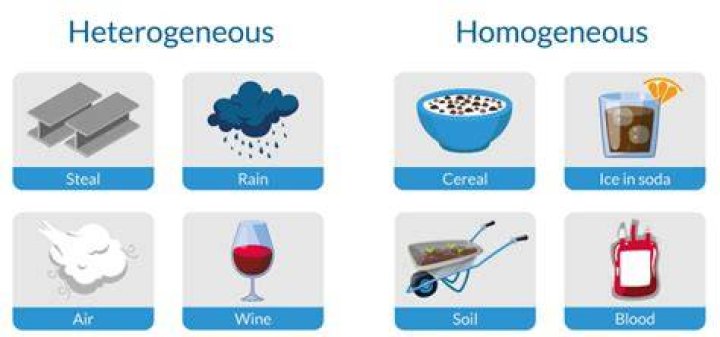 What are the 10 examples of heterogeneous?