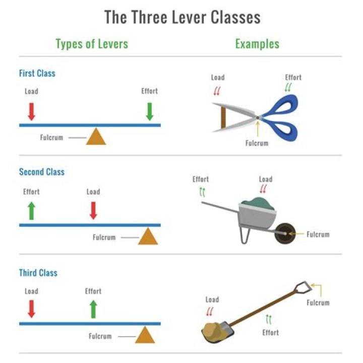 What are the 3 types of cleaning?
