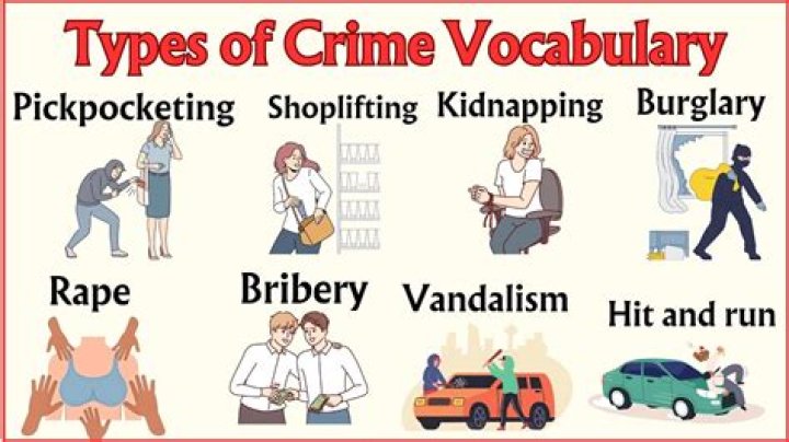 What are the 4 types of crime?