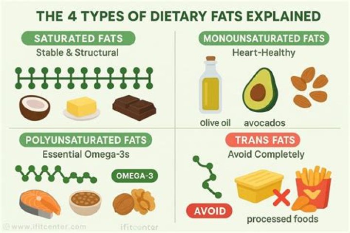 What are the 4 types of fats?