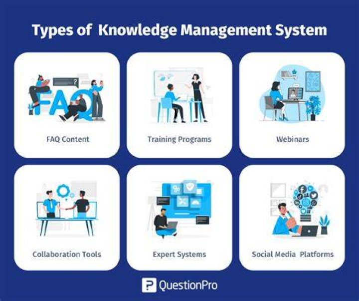 What are the 4 types of knowledge management?