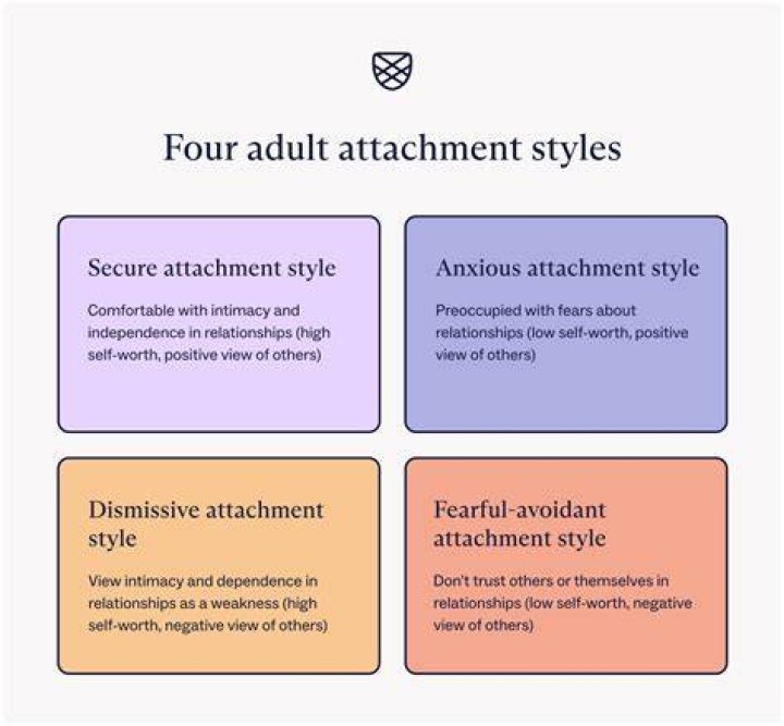 What are the 4 types of law?