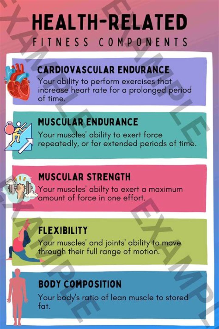 What are the 5 factors of physical fitness?