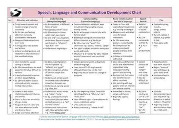 What are the 5 theories of language development?