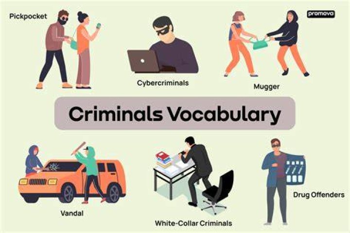What are the 5 types of criminals?