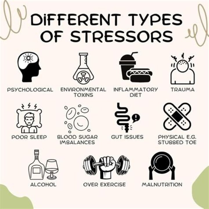 What are the 5 types of stressor?