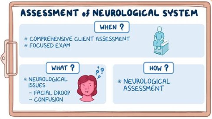 What are the 7 areas of documentation of the neurological exam?