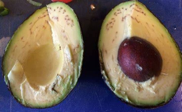 What are the black lines in avocados?